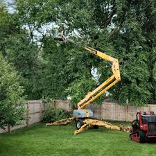 Best Landscape Design and Installation  in Woodway, TX