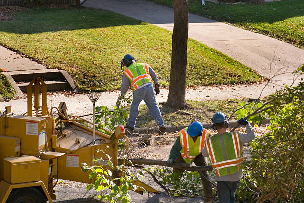 Lawn Pest Prevention in Woodway, TX
